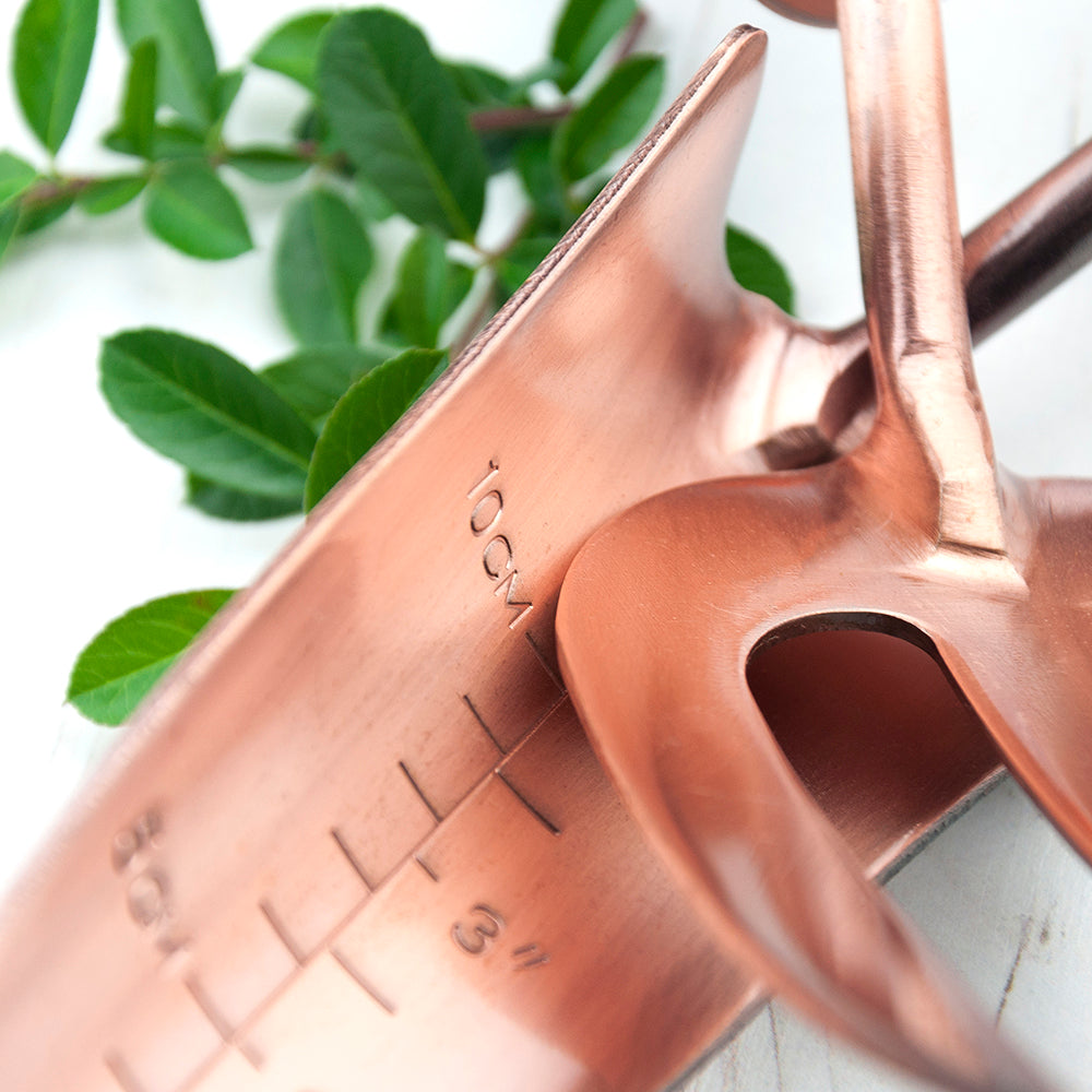Personalised Luxe Copper Trowel and Fork Set - treat-republic
